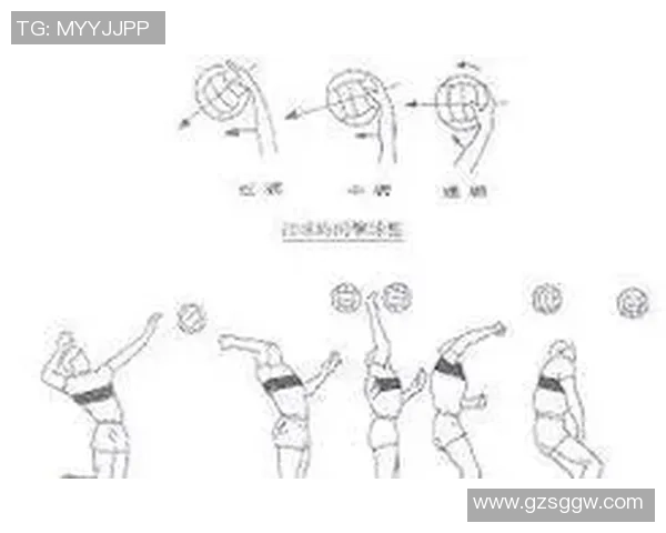 上海排球队的崛起与挑战：探索排球运动的力量与未来发展