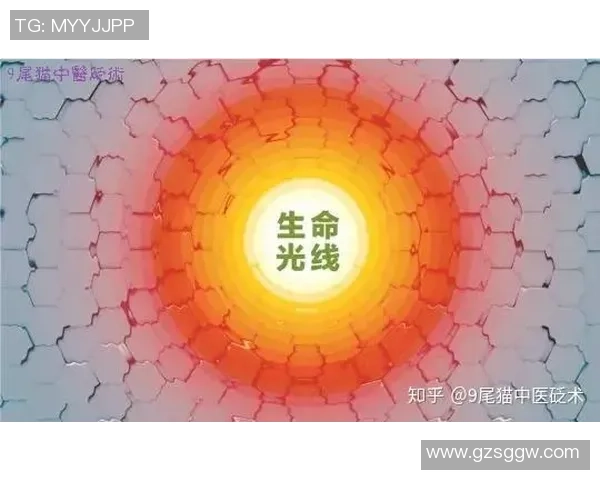 孕妇梦见足球的寓意解析及其对未来的影响探讨 孕妇梦见足球的寓意解析及其对未来的影响探讨