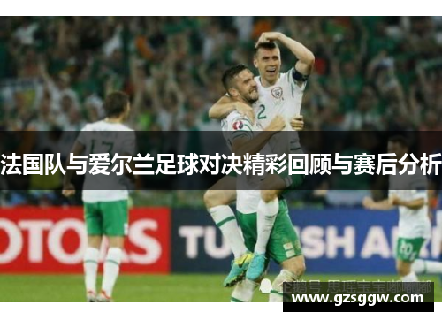 法国队与爱尔兰足球对决精彩回顾与赛后分析