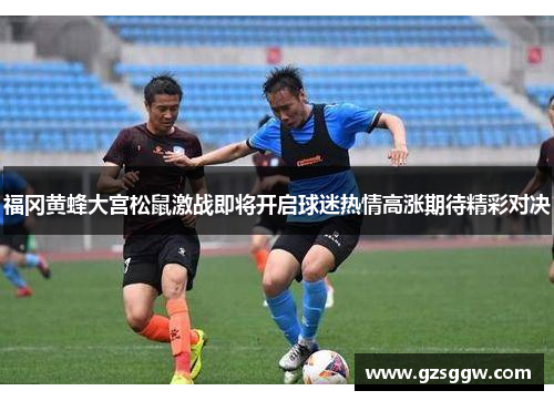 福冈黄蜂大宫松鼠激战即将开启球迷热情高涨期待精彩对决