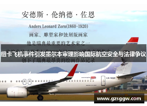 纽卡飞机事件引发墨尔本审理影响国际航空安全与法律争议